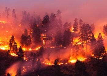 Voraces incendios forestales dejan en Chile, al menos, 18 fallecidos y cerca de mil damnificados