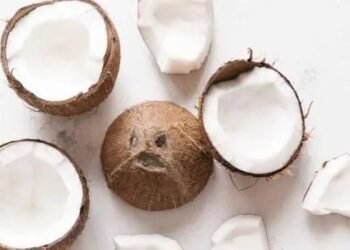 Conozca las propiedades y los beneficios del coco para la salud