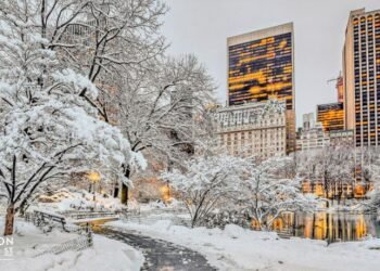 Se pronostica nuevo frente polar con frío extremo en el noreste de Estados Unidos