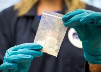 Autoridades estadounidenses alertaron sobre el papel de insumos químicos en la expansión del fentanilo en Norteamérica. Por Línea Directa