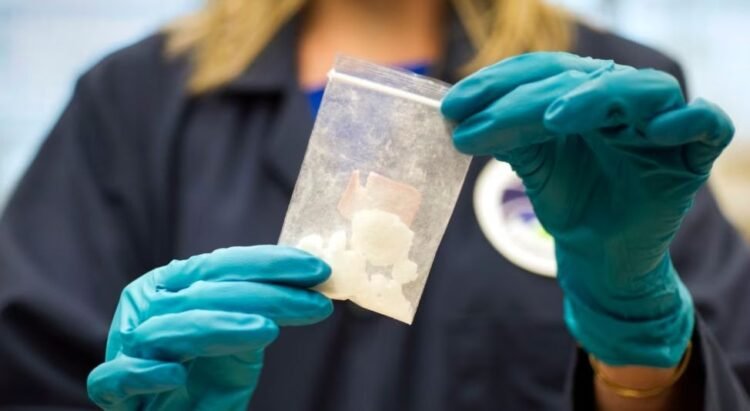 Autoridades estadounidenses alertaron sobre el papel de insumos químicos en la expansión del fentanilo en Norteamérica. Por Línea Directa