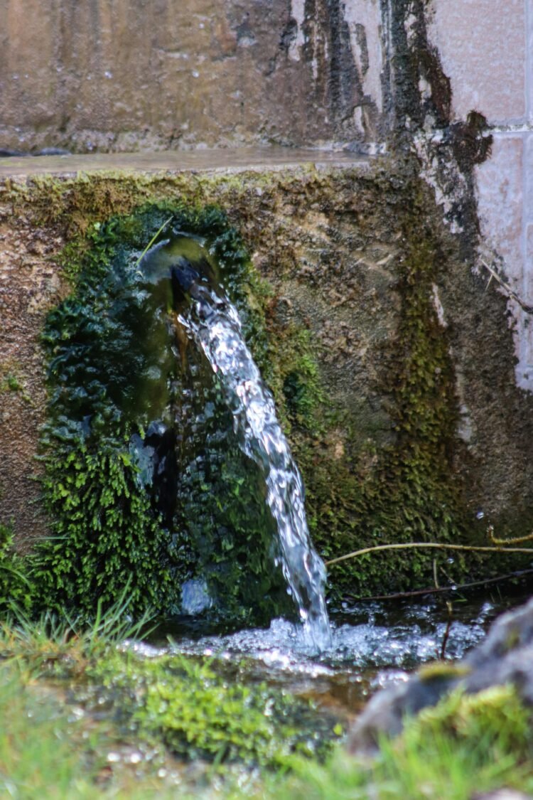 Fuente de agua. Pexels