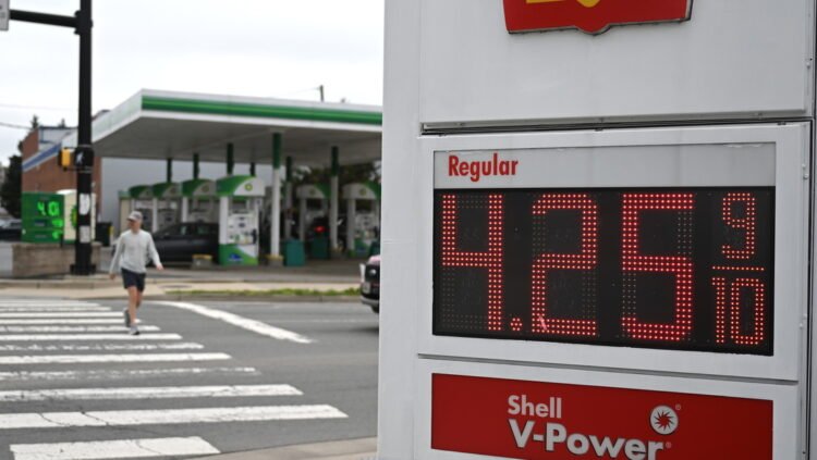 Imagen cortesía de: actualidad.rt.com