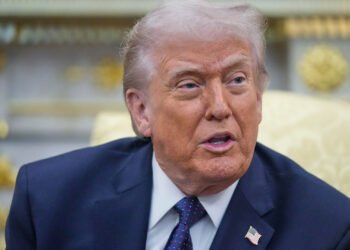 Presidente Donald Trump. (AP Foto/Mark Schiefelbein).