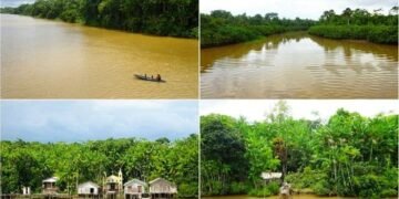 Irresponsables locuras de juventud: Emulando al ‘tuerto’ Orellana surqué el Amazonas en falucho peruano