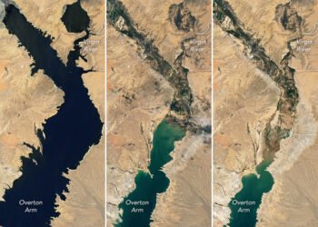 La imagen muestra un detalle del lago Mead y el descenso de sus aguas en 2020, 2021 y 2022. Imagen NASA